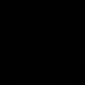 Meet your Posher, Talia